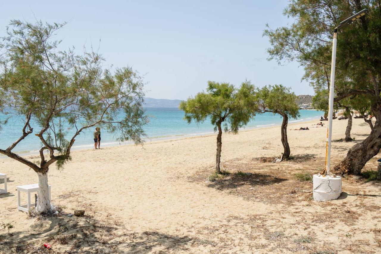 آغيوس بروكوبيوس Flerianos Studios Naxos المظهر الخارجي الصورة