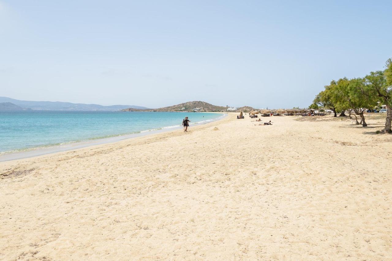 آغيوس بروكوبيوس Flerianos Studios Naxos المظهر الخارجي الصورة